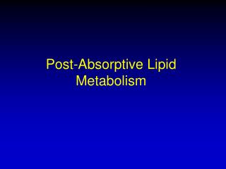 Post-Absorptive Lipid Metabolism