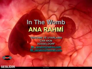 In The Womb ANA RAHMİ TERCÜME VE UYARLAMA CAN AKIN DÜSSELDORF Mr_canakin@yahoo