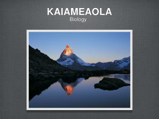 KAIAMEAOLA