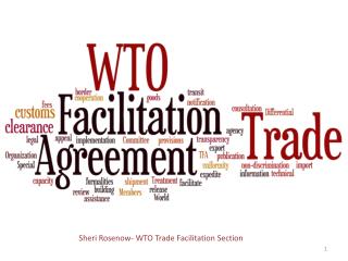 Sheri Rosenow- WTO Trade Facilitation Section