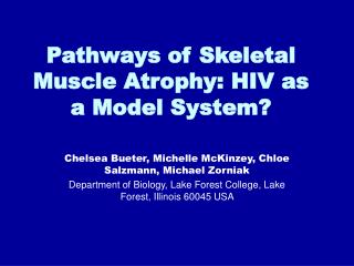 Pathways of Skeletal Muscle Atrophy: HIV as a Model System?