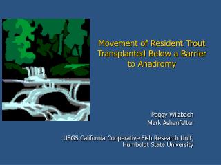 Movement of Resident Trout Transplanted Below a Barrier to Anadromy