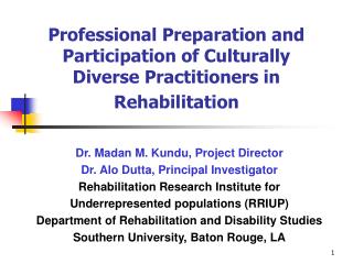 Professional Preparation and Participation of Culturally Diverse Practitioners in Rehabilitation