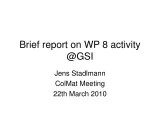 Brief report on WP 8 activity @GSI