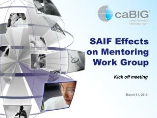 SAIF Effects on Mentoring Work Group