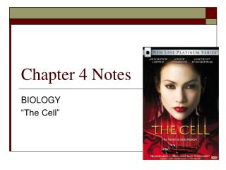 Chapter 4 Notes