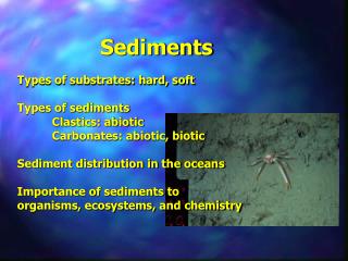 Sediments
