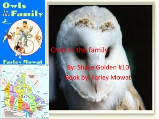 Owls in the family