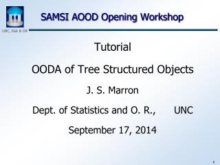 SAMSI AOOD Opening Workshop