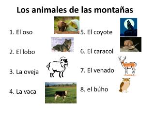 Los animales de las montañas