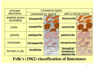 Holocene ooids lightly cemented by calcite spar (note large quantity of pore space).