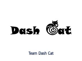 Team Dash Cat