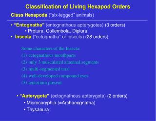 Classification of Living Hexapod Orders