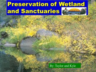 Preservation of Wetland and Sanctuaries