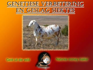 GENETIESE VERBETERING