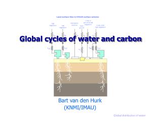 Global cycles of water and carbon