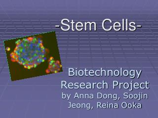 Biotechnology Research Project by Anna Dong, Soojin Jeong, Reina Ooka