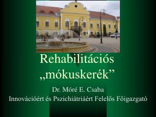 Rehabilitációs „mókuskerék”