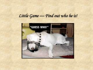 Little Game — Find out who he is!