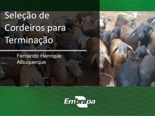 Fernando Henrique Albuquerque