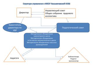 Структура управления в МКОУ Нельмачевской ООШ