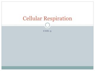 Cellular Respiration