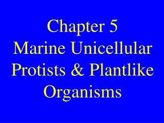 Chapter 5 Marine Unicellular Protists &amp; Plantlike Organisms