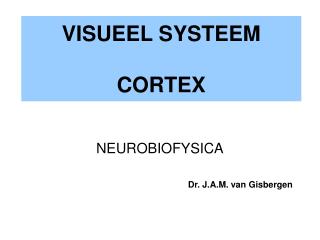 VISUEEL SYSTEEM CORTEX