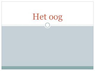 Het oog