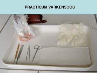 PRACTICUM VARKENSOOG