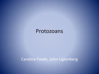 Protozoans