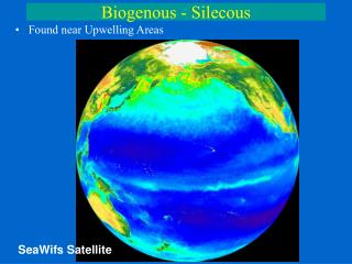 Biogenous - Silecous