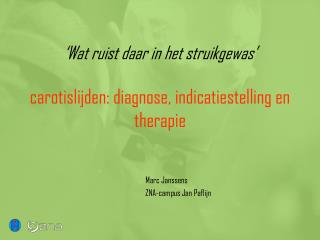 ‘Wat ruist daar in het struikgewas’ carotislijden: diagnose, indicatiestelling en therapie