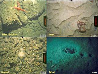 Oceanic and Continental Crust