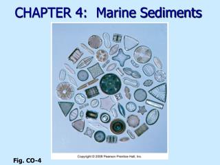 CHAPTER 4: Marine Sediments