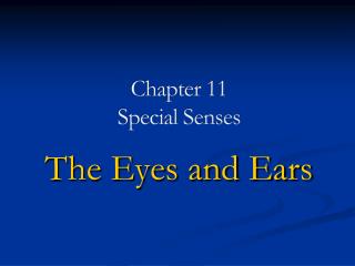 Chapter 11 Special Senses
