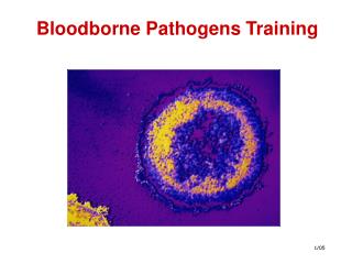 Bloodborne Pathogens Training