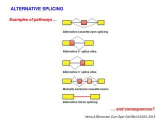 Examples of pathways ...