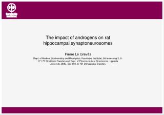 The impact of androgens on rat hippocampal synaptoneurosomes Pierre Le Grevès
