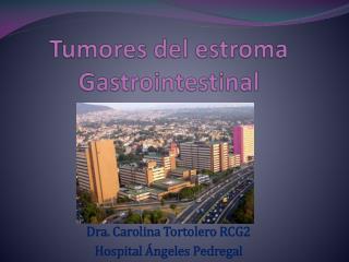 Tumores del estroma Gastrointestinal