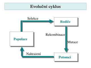 Evoluční cyklus