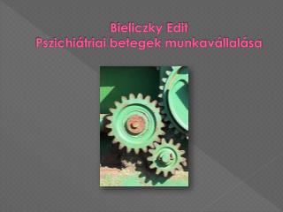 Bieliczky Edit Pszichiátriai betegek munkavállalása