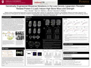 MicroCT: