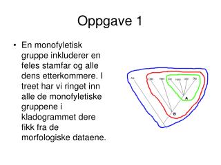 Oppgave 1