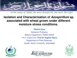Noshin Ilyas Assistant Professor Botany Department, PMAS AAUR