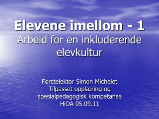 Elevene imellom - 1 Arbeid for en inkluderende elevkultur