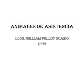 ANIMALES DE ASISTENCIA