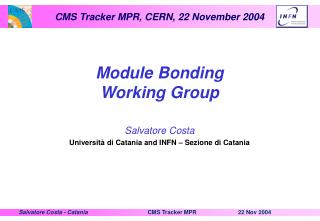 Module Bonding Working Group