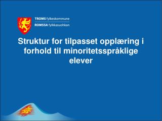 Struktur for tilpasset opplæring i forhold til minoritetsspråklige elever