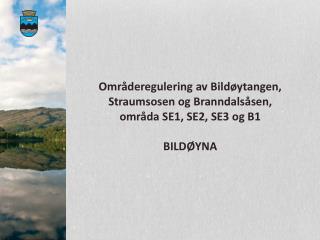 Områderegulering av Bildøytangen, Straumsosen og Branndalsåsen, områda SE1, SE2, SE3 og B1